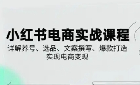 小红书从0-1实操课(2023-2025)，详解养号、选品、文案撰写、爆款打造实现电商变现-乐创同聚