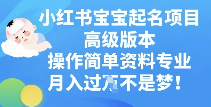 小红书宝宝起名项目高级版本，操作简单，资料专业，月入过W-乐创同聚