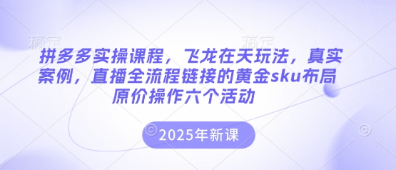 拼多多实操课程，飞龙在天玩法，真实案例，直播全流程链接的黄金sku布局原价操作六个活动-乐创同聚