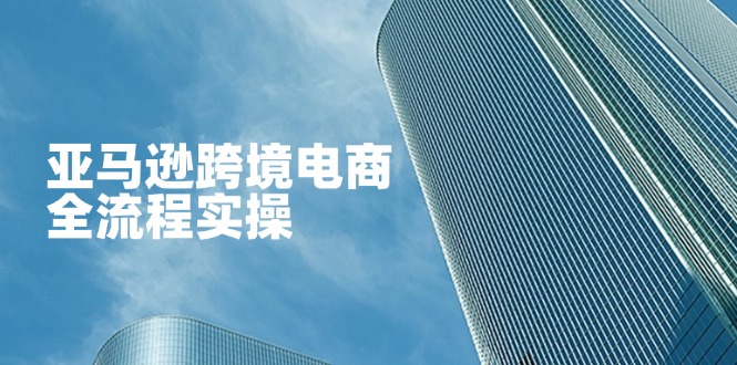 （14252期）亚马逊跨境电商全流程实操，教你从零开始，掌握店铺运营与广告技巧-乐创同聚