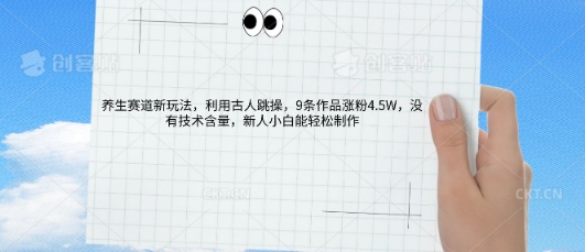 AI养生赛道新玩法，10条作品涨粉5.2W，操作简单，新人小白能轻松制作-乐创同聚