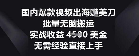 国内爆款视频出海挣美刀，批量无脑搬运，实战收益4.5k，无需经验直接上手-乐创同聚