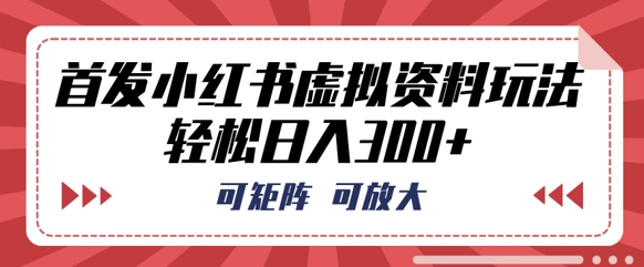首发小红书虚拟资料玩法，可矩阵，可放大，轻松日入3张-乐创同聚