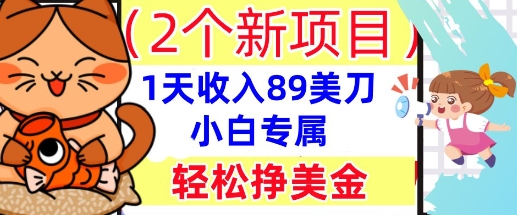 2个新项目，轻松挣美金， 1天收入89美刀，小白专属，干货分享-乐创同聚