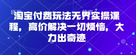 淘宝付费玩法无界实操课程，高价解决一切烦恼，大力出奇迹-乐创同聚