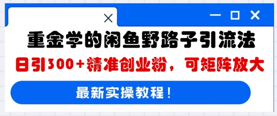 重金学的闲鱼野路子引流法，日引300+精准创业粉，可矩阵放大-乐创同聚