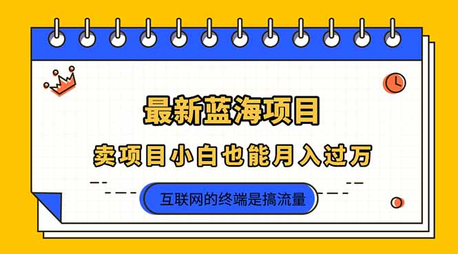 （14289期）2025年最新蓝海项目，卖项目小白也能月入过万-乐创同聚