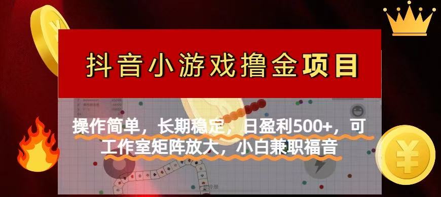 （14290期）【抖音小游戏发行人计划项目】操作简单，长期稳定，日盈利500+，可工作…-乐创同聚