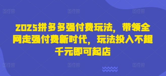 2025拼多多强付费玩法，带领全网走强付费新时代，玩法投入不超千元即可起店-乐创同聚