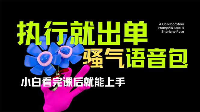 （14170期）爆火全网的开车导航骚气语音包,只要执行就出单，小白看完课程就能实操…-乐创同聚