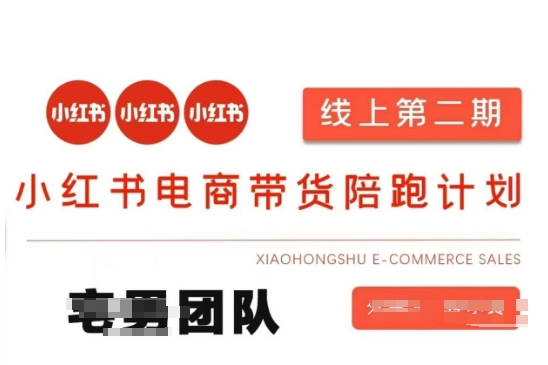小红书电商带货课2期，月利润20个的小红书电商的有货源，无货源，虚拟产品，付费投流等整套玩法-乐创同聚