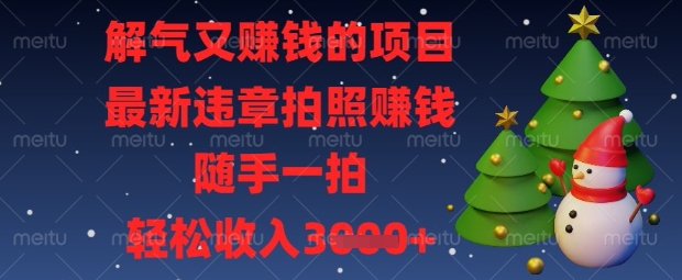 解气又挣钱的项目，最新违章拍照挣钱，随手一拍，轻松收入数张【揭秘】-乐创同聚